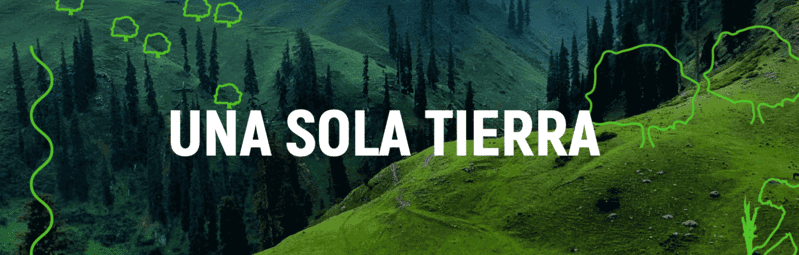 Día Mundial del Medio Ambiente